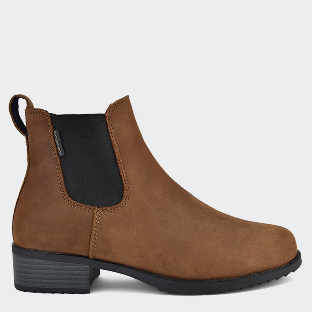 Daily - Antique Brown