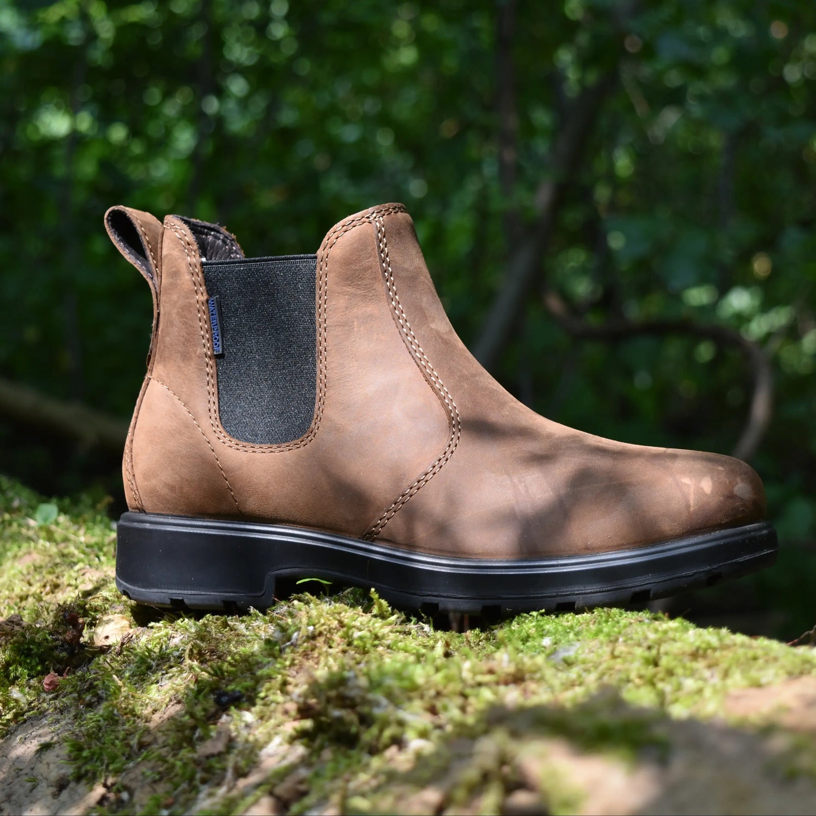 Leather Meets Landscape.